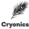 cryonic-it-services
