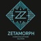 zetamorph-ai-semicon-software-solutions