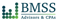 bmss-advisors-cpas-human-resources-advisory-services
