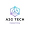 a2g-tech-consulting