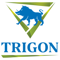 trigon-creative