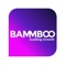 bammboo-growth-hacking-agency