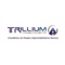 trillium-roadways
