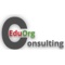 eduorg-consulting-0