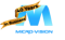 micro-vision