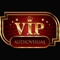 vip-audiovisual