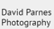 david-parnes-photography