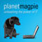 planetmagpie-it-consulting