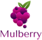 mulberry-solutions
