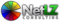 netlz-consulting