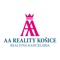 aa-reality-ko-ice