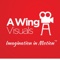 wing-visuals