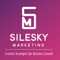 silesky-company