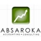 absaroka-accounting-consulting