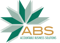 abs-accountable-business-solutions