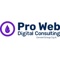 pro-web-consulting