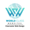 world-class-websites-clearwater-web-design