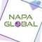 napa-it-services-consulting