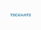 teckmate-business-consulting-llp