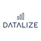datalize