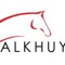 stallions-alkhuyol