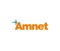amnet-systems-private