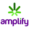 amplify-2