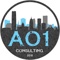 ao1-consulting