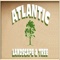 atlantic-lanscaping-tree
