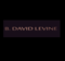 b-david-levine-designs