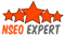 nseo-expert