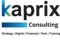 kaprix-consulting