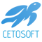 cetosoft-infotech