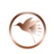 follow-hummingbird-consulting-pbc