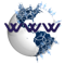 webgraph-worldwide-ca