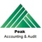peak-accounting-audit-groups