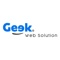 geek-web-solution-0
