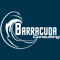 barracuda-consulting