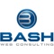 bash-web-consulting-seo