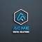 acme-digital-solutions