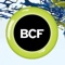 bcf-agency