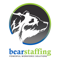 bear-staffing-services