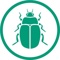 beetle-green
