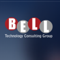 bell-technology-consulting-group