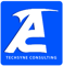 techsyne-consulting