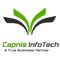 capnis-infotech-private