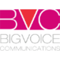 big-voice-communications