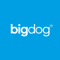 bigdog-agency