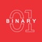 binary-web-solutions-india