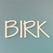birk-staffing-technical-services